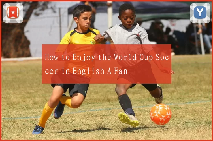 How to Enjoy the World Cup Soccer in English A Fan
