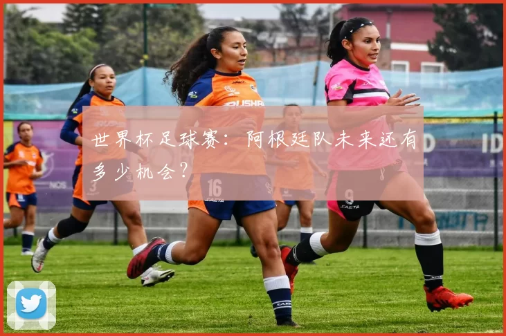 世界杯足球赛：阿根廷队未来还有多少机会？