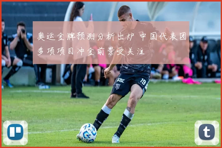 奥运金牌预测分析出炉 中国代表团多项项目冲金前景受关注