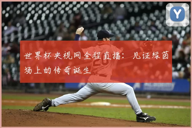 世界杯央视网全程直播：见证绿茵场上的传奇诞生