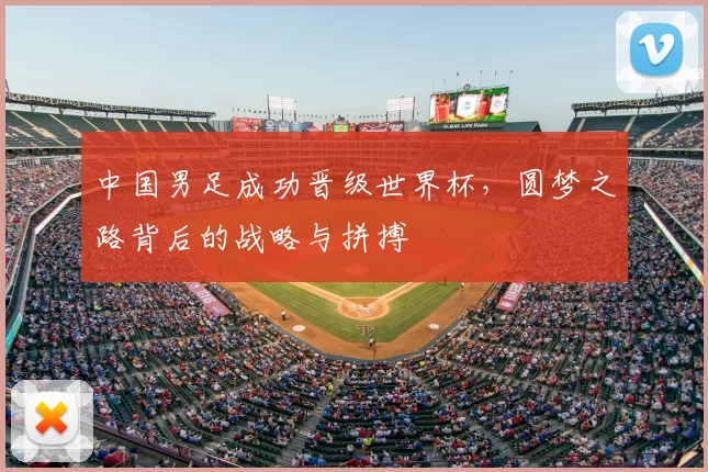 中国男足成功晋级世界杯，圆梦之路背后的战略与拼搏