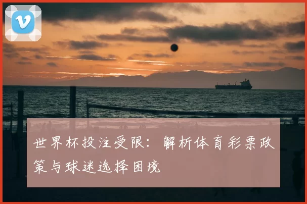 世界杯投注受限：解析体育彩票政策与球迷选择困境