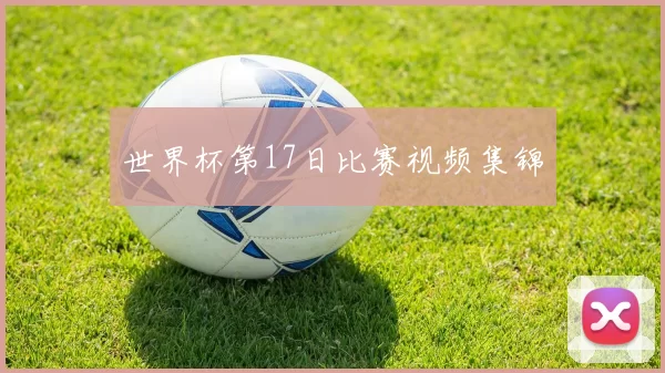 世界杯第17日比赛视频集锦