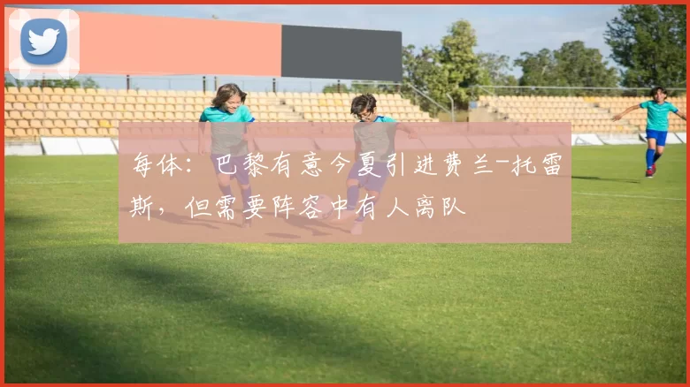 每体：巴黎有意今夏引进费兰-托雷斯，但需要阵容中有人离队