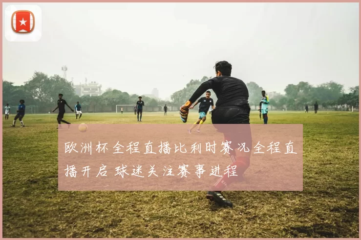 欧洲杯全程直播比利时赛况全程直播开启 球迷关注赛事进程