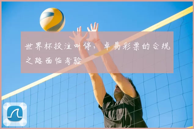 世界杯投注叫停，卓易彩票的合规之路面临考验