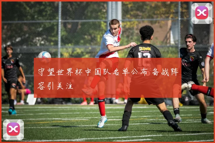 守望世界杯中国队名单公布 备战阵容引关注